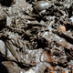 Image for article titled Incredible discovery of Aztec skeletons in ritualistic mass grave